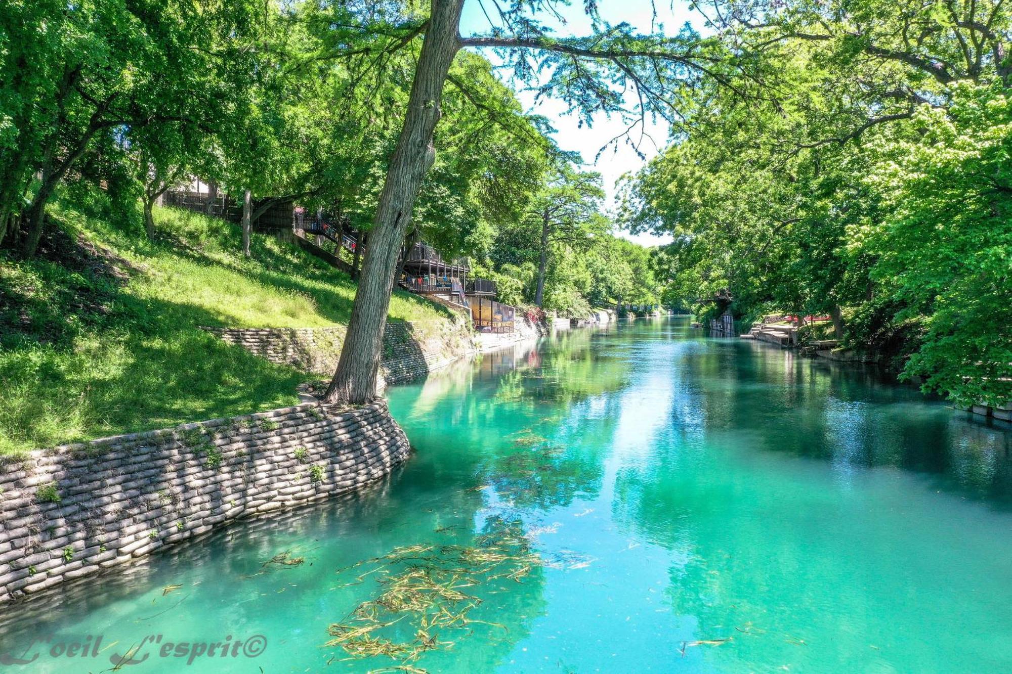 The Iron Cactus Condo On The Comal Cw C102 New Braunfels Εξωτερικό φωτογραφία